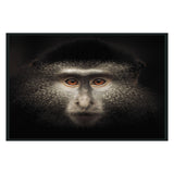 Monkey Black Photography 48x72 - Ornate Home
