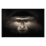 Monkey Black Photography 48x72 - Ornate Home