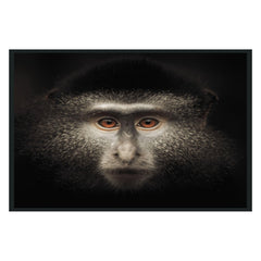 Monkey Black Photography 48x72 - Ornate Home