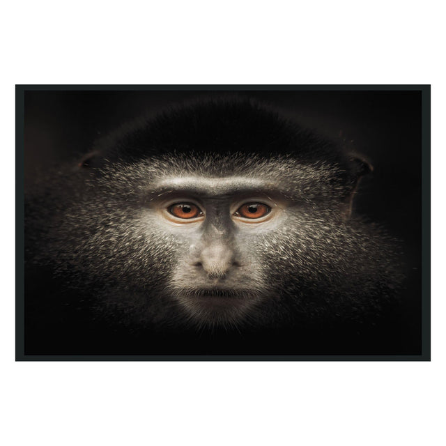 Monkey Black Photography 48x72 - Ornate Home