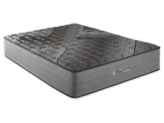 Montlake Black Eastern King Firm Hybrid Mattress - Ornate Home
