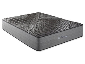 Montlake Black Eastern King Firm Hybrid Mattress - Ornate Home