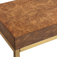 Moran Brass/Woodtone Burl Console Table - Ornate Home