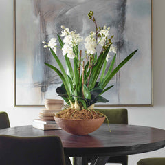 Moth Orchid Brown/Green/White Planter - Ornate Home