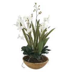 Moth Orchid Brown/Green/White Planter - Ornate Home