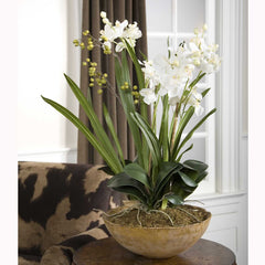 Moth Orchid Brown/Green/White Planter - Ornate Home