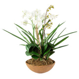 Moth Orchid Brown/Green/White Planter - Ornate Home