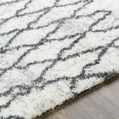 Moulden Area Rug - Clearance - Ornate Home