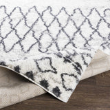 Moulden Area Rug - Clearance - Ornate Home