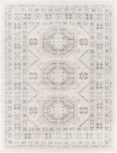 Moundsville Area Rug - Ornate Home
