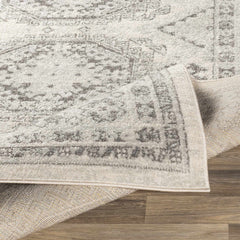 Moundsville Area Rug - Ornate Home