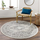 Moundsville Area Rug - Ornate Home