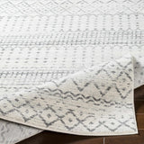 Moweaqua Area Rug - Clearance - Ornate Home