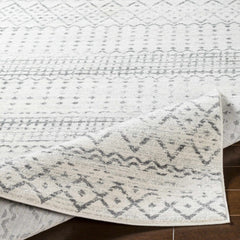 Moweaqua Area Rug - Clearance - Ornate Home