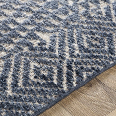 Moyne Area Rug - Clearance - Ornate Home
