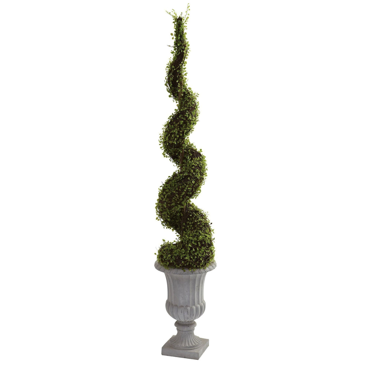 Muehlenbeckia Spiral Tree with Decorative Urn