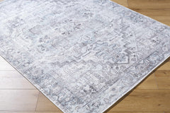 Nadia Silver Gray Area Rug - Clearance - Ornate Home
