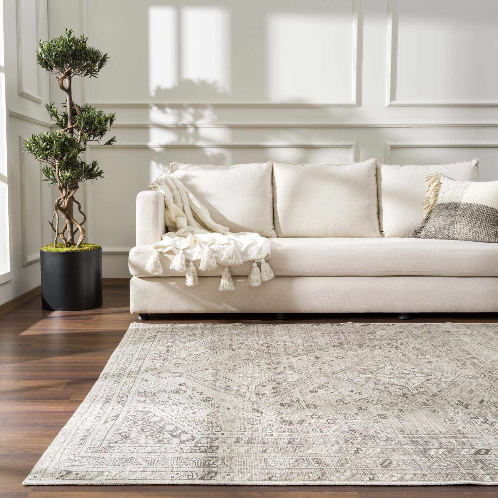 Nadie Area Rug - Clearance - Ornate Home