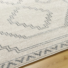 Naomh Area Rug - Clearance - Ornate Home