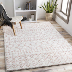 Narrogin Area Rug - Ornate Home