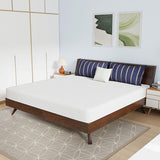 Nasturtium White 8" E.King Bamboo Charcoal Infused Memory Foam Mattress - Ornate Home