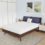 Nasturtium White 8" Full Bamboo Charcoal Infused Memory Foam Mattress - Ornate Home