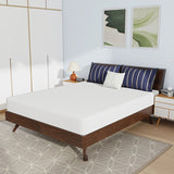 Nasturtium White 8" Queen Bamboo Charcoal Infused Memory Foam Mattress - Ornate Home