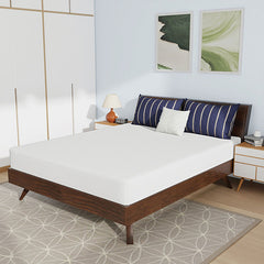 Nasturtium White 8" Queen Bamboo Charcoal Infused Memory Foam Mattress - Ornate Home