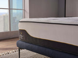 Natura Hybrid Queen Mattress - Ornate Home