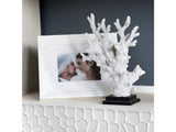 Natural Coral White Statue - Ornate Home