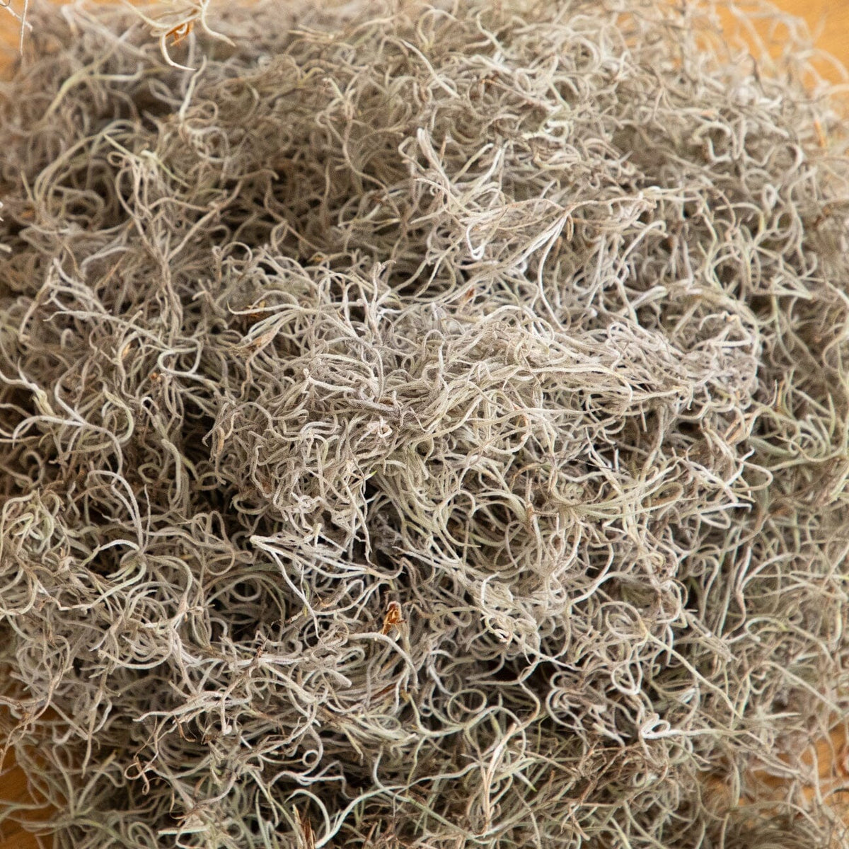Natural Spanish Moss - 3Lbs