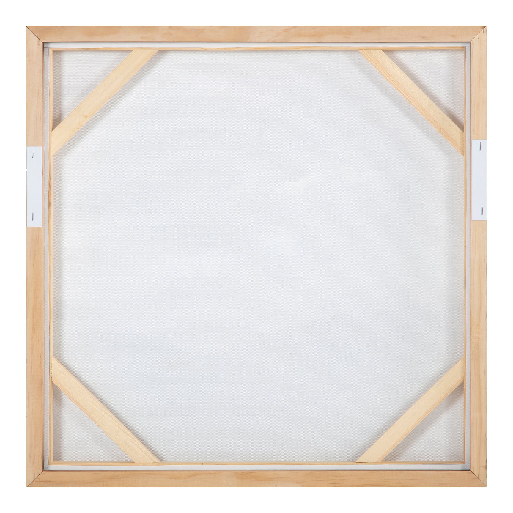 Natural World Framed Painting - Ornate Home