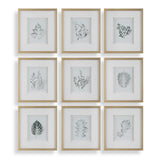 Nature's Script Gold/Green/White Framed Botanical Prints (Set of 9) - Ornate Home