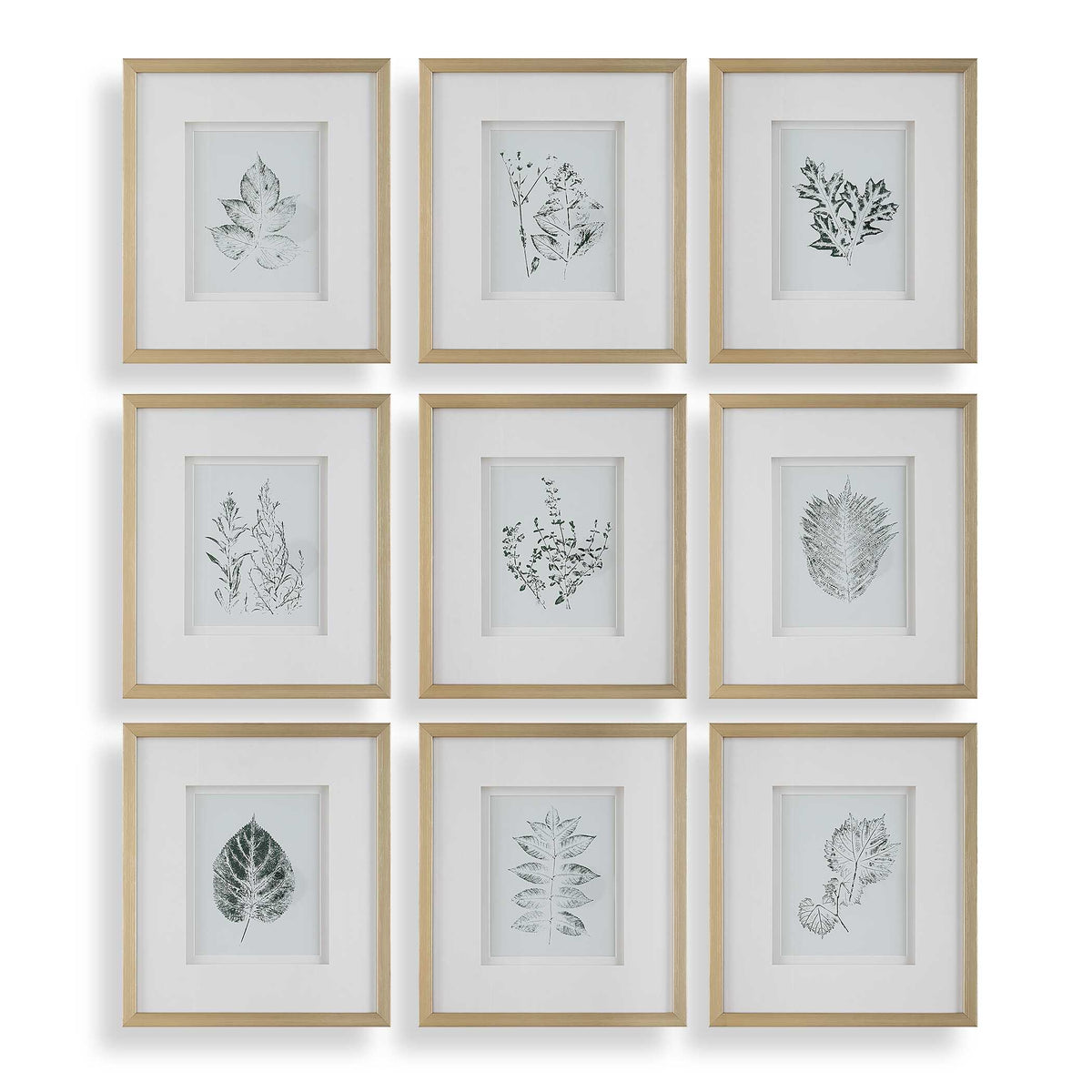 Nature's Script Gold/Green/White Framed Botanical Prints (Set of 9) - Ornate Home