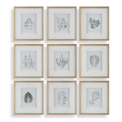 Nature's Script Gold/Green/White Framed Botanical Prints (Set of 9) - Ornate Home