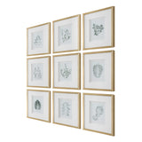 Nature's Script Gold/Green/White Framed Botanical Prints (Set of 9) - Ornate Home