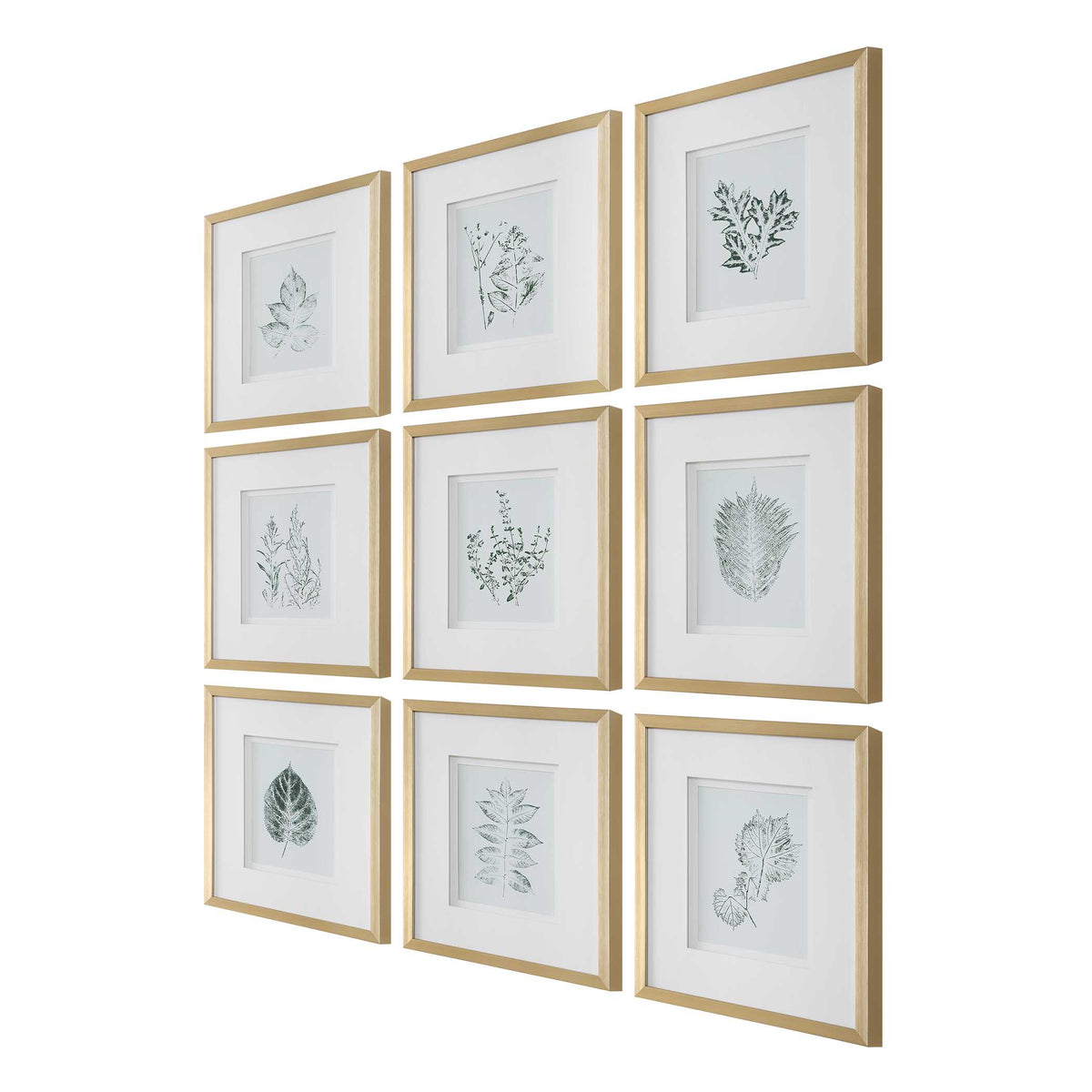 Nature's Script Gold/Green/White Framed Botanical Prints (Set of 9) - Ornate Home