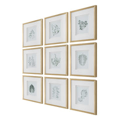Nature's Script Gold/Green/White Framed Botanical Prints (Set of 9) - Ornate Home