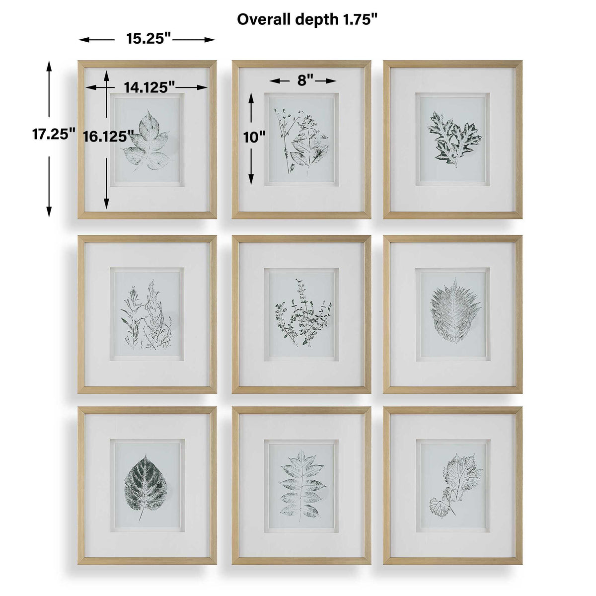 Nature's Script Gold/Green/White Framed Botanical Prints (Set of 9) - Ornate Home