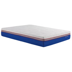Nautica Serenity White 12" Gel Memory Foam Mattress - Ornate Home