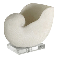 Nautilus Shell White Sculpture - Ornate Home