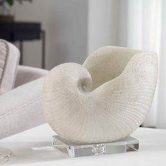 Nautilus Shell White Sculpture - Ornate Home