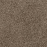 Navi Fossil Recliner (Online Special Price) - Ornate Home
