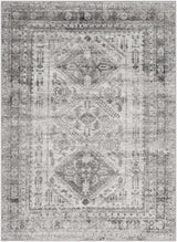 Nelsonville Area Rug - Ornate Home