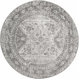 Nelsonville Area Rug - Ornate Home