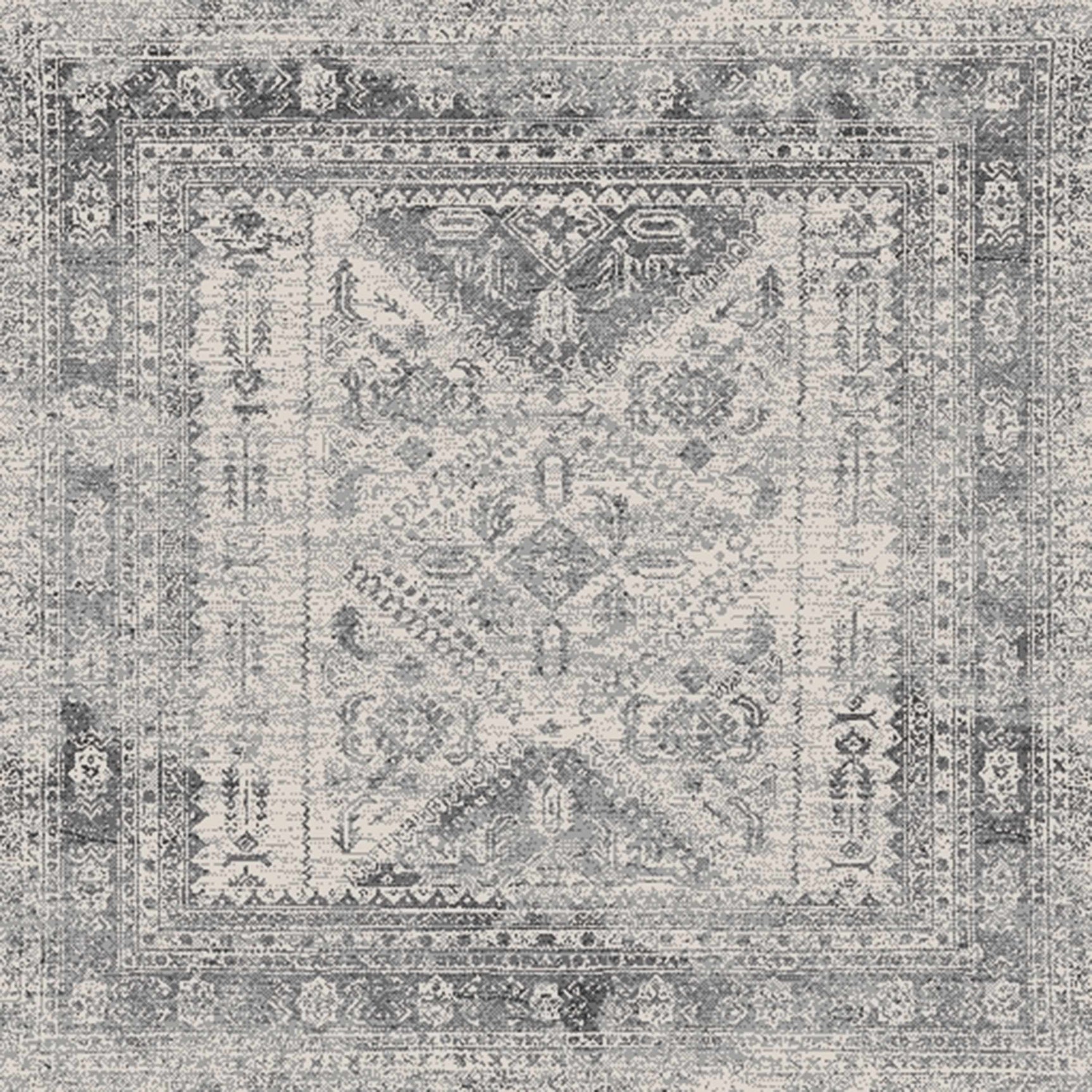 Nelsonville Area Rug - Ornate Home
