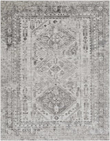 Nelsonville Area Rug - Ornate Home