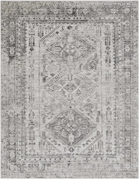 Nelsonville Area Rug - Ornate Home