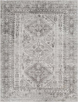 Nelsonville Area Rug - Ornate Home