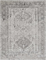 Nelsonville Area Rug - Ornate Home